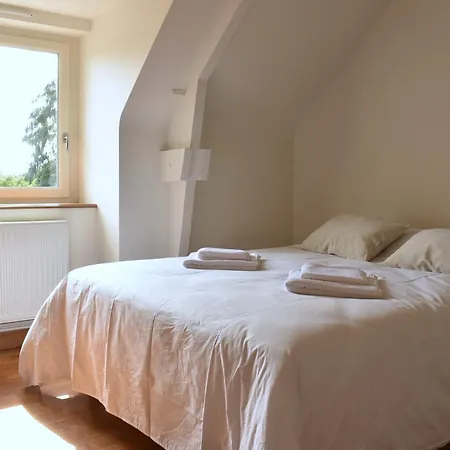 La Mancelliere - Maison Familiale 12-15 Pers, Grand Jardin, Jeux & Petanque - Pleine Nature Holiday home Cigne